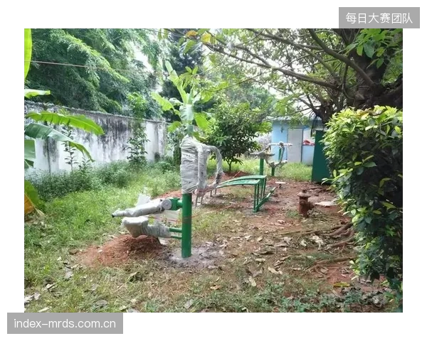 体育+零售”、“体育+康复”、“体育+社交”：下一阶段的微更新将不再是简单的功能叠加，而是深度的业态融合